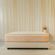 Ello Original Orange