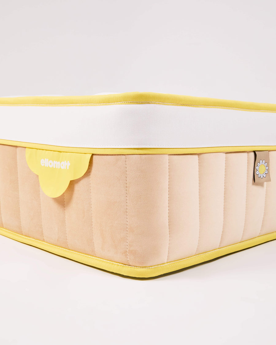 Ello™ CAMOMILE