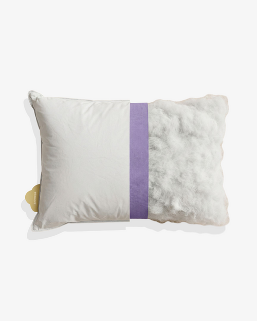 Ello™ Plume